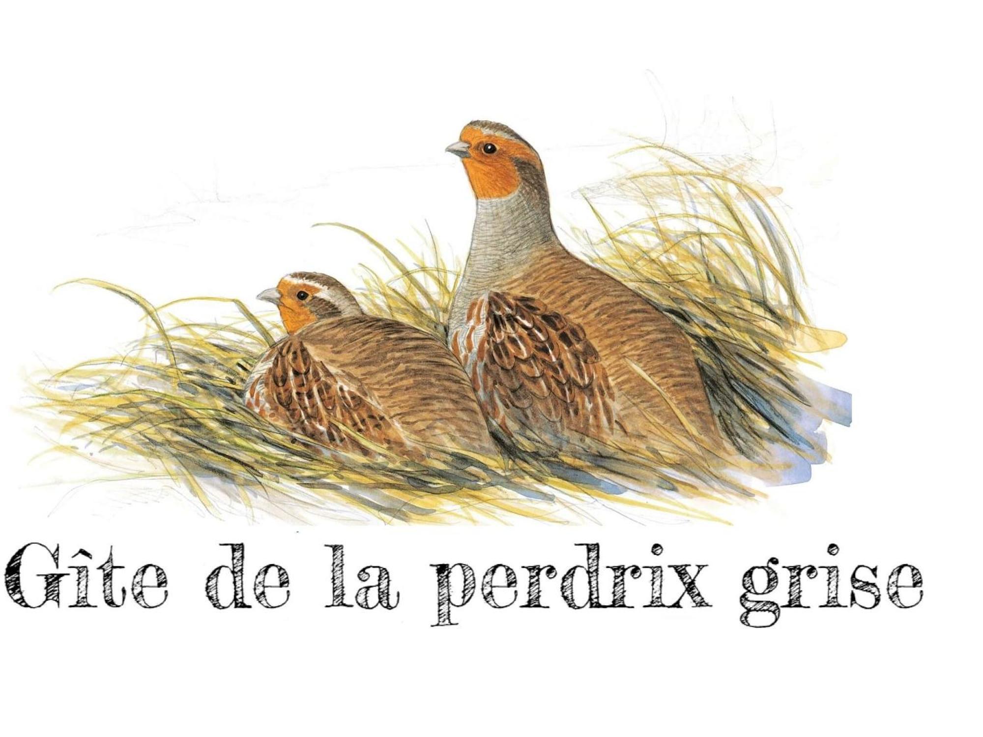 Charmante Maison De Campagne Avec Jardin Prive, Pres De Paris Et Orleans, Ideale Pour Familles - Fr-1-590-136 Audeville Zewnętrze zdjęcie